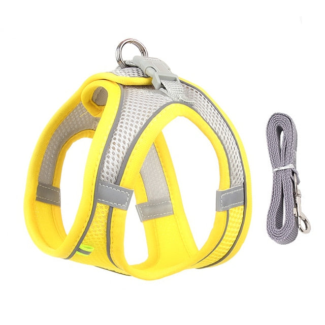 Dog Harness and Leash Set for Small Dogs