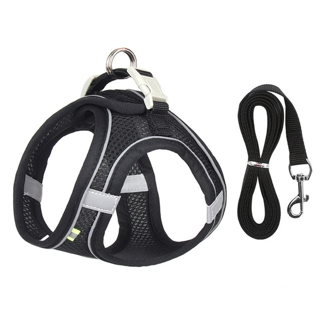 Dog Harness and Leash Set for Small Dogs