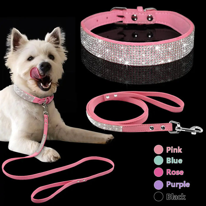 Fancy Pet Collar