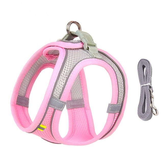 Dog Harness and Leash Set for Small Dogs