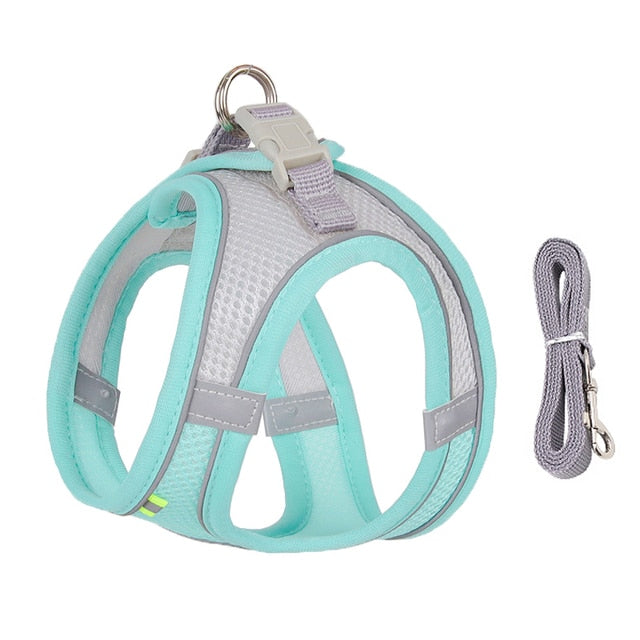 Dog Harness and Leash Set for Small Dogs