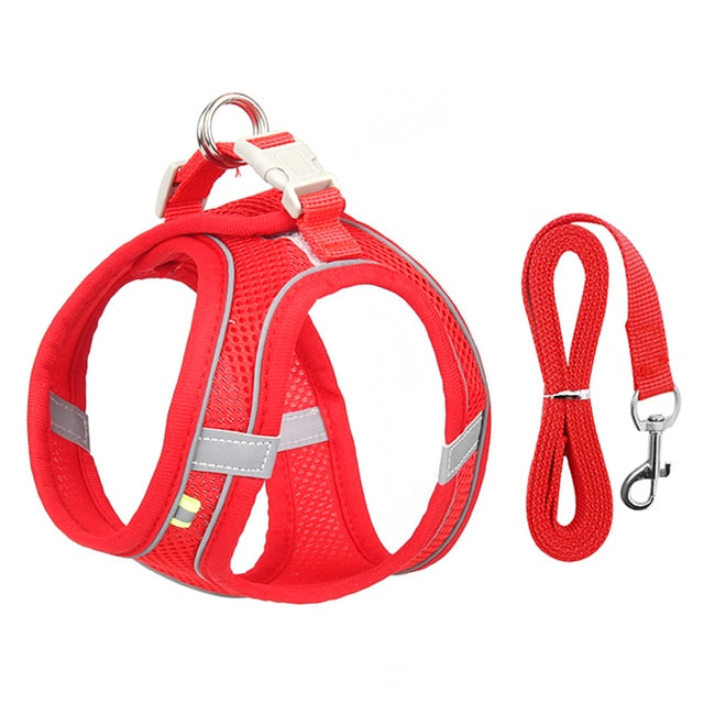 Dog Harness and Leash Set for Small Dogs