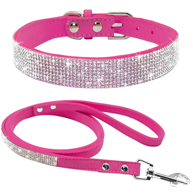 Fancy Pet Collar