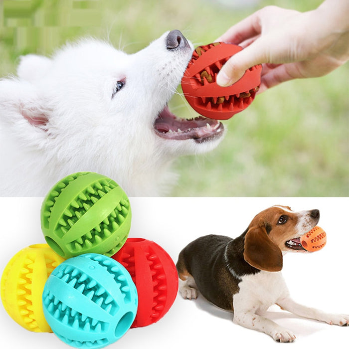 Rubber Chew Toy Ball