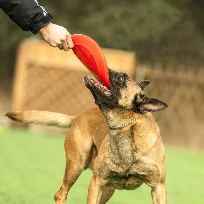 Rubber flying Retrieval Disc